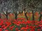 Papaveri sotto gli ulivi Poster Print by Tebo Marzari - Item # VARPDX3TM1183